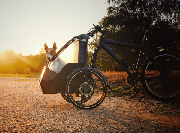 immagine bici elettrica