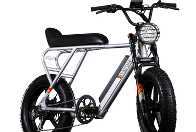 Verve PANTERA Matte Silver - Bici Elettrica